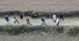 제주올레 완주자 100명 중 97명 정신적 건강 좋아져